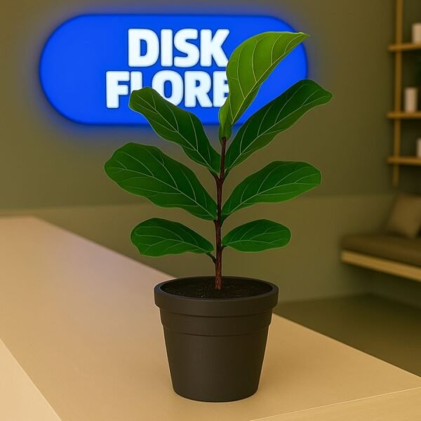 Ficus Lyrata